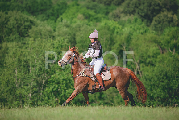RWP_2895