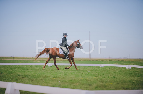 JJS_0611