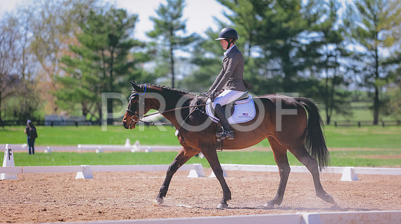 0N0A9554