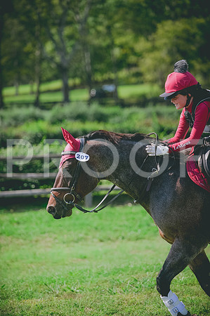 JJS_8491