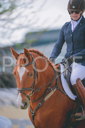 JJS_4378