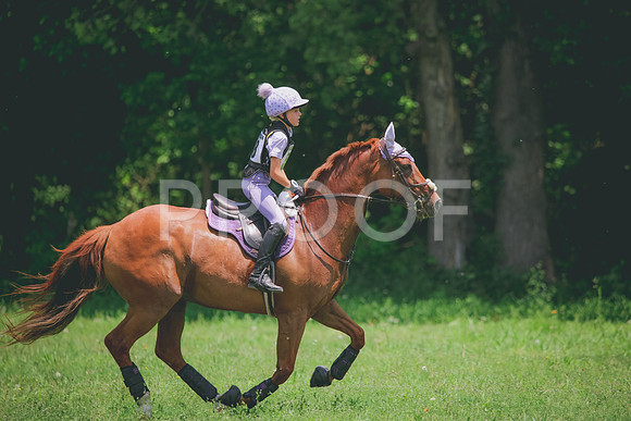 RWP_3732