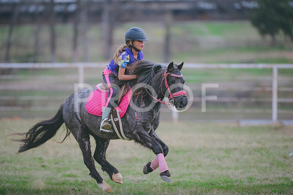 JJS_1642