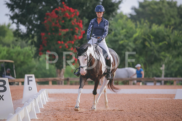 RWP_4213