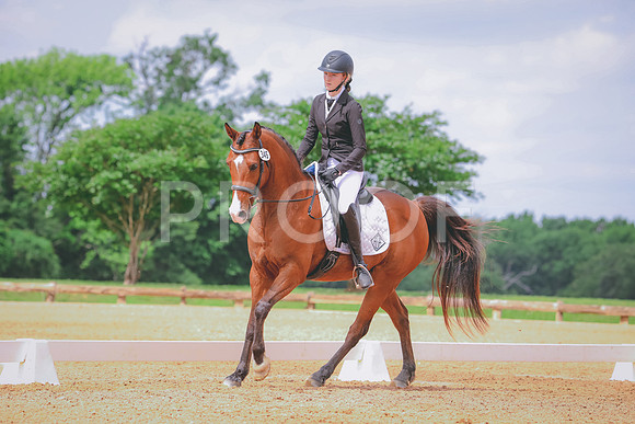 RWP_4249