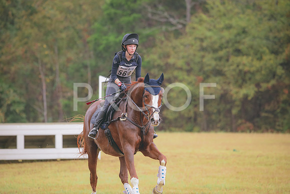 RWP_2026