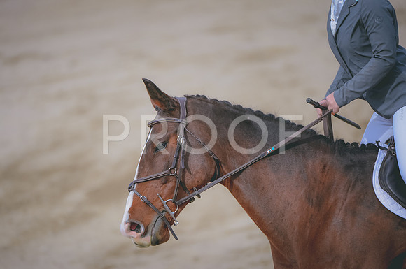 JJS_0330