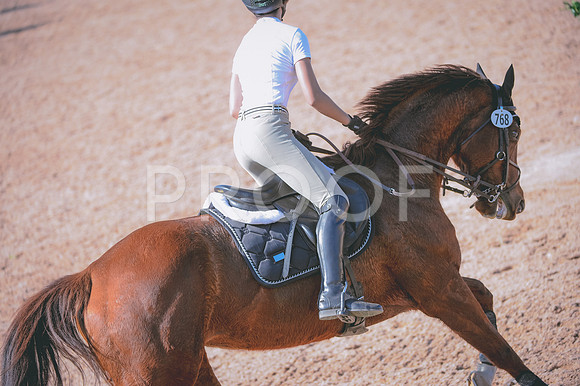 JJS_8883