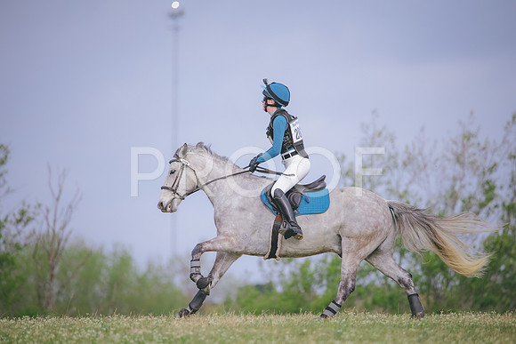 RWP_8510
