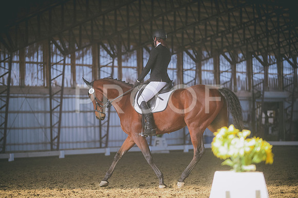 JJS_2295