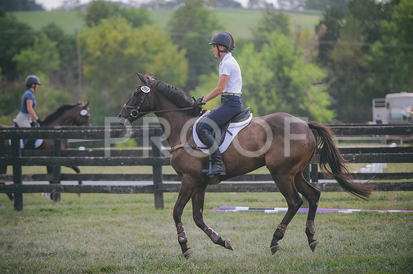JJS_7964