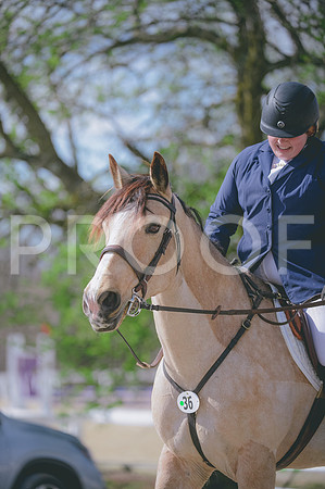 JJS_0444
