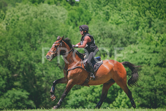 RWP_7808