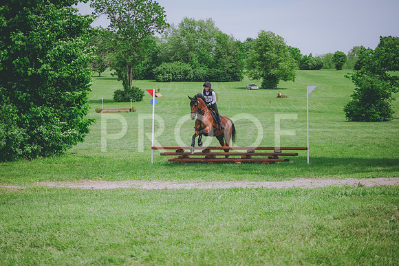 2E8A5623