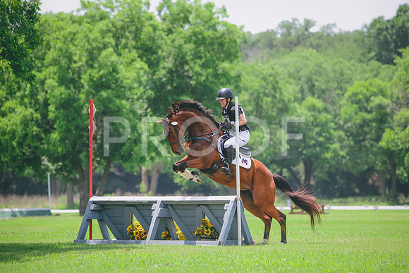 RWP_3070