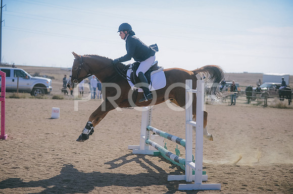 JJS_4201