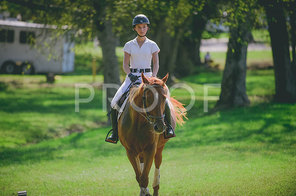 JJS_1671