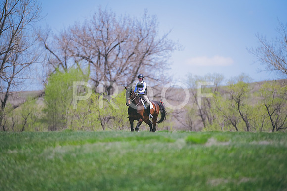 _DSC0311