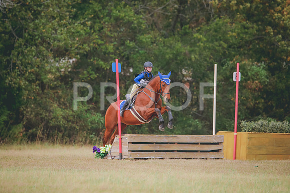 RWP_3678