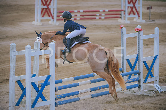 JJS_2428