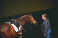 DSC_8670