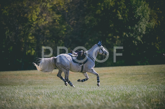 JJS_9056
