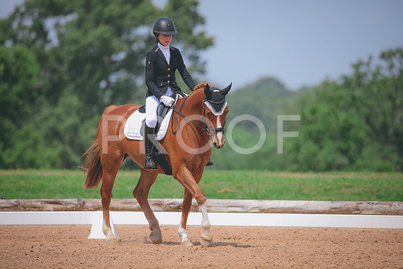 RWP_4402