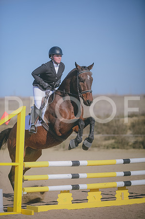JJS_1242