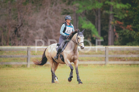 RWP_2957