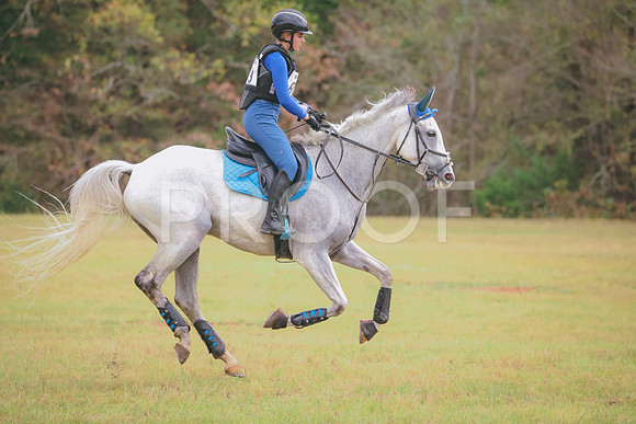 RWP_3526