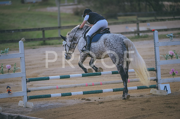 JJS_1532
