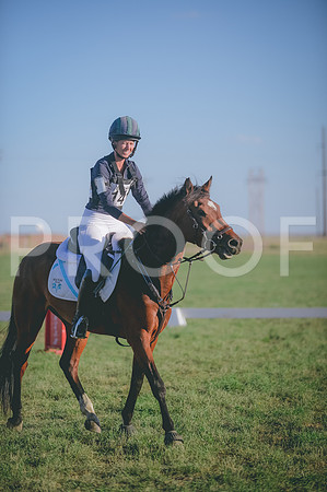 JJS_3397