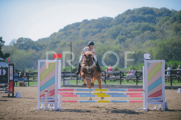 JJS_2019