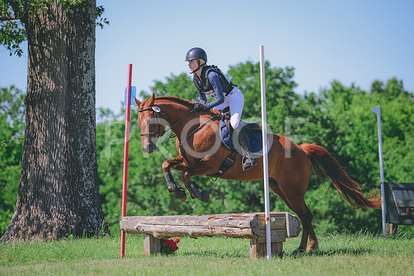RWP_1262