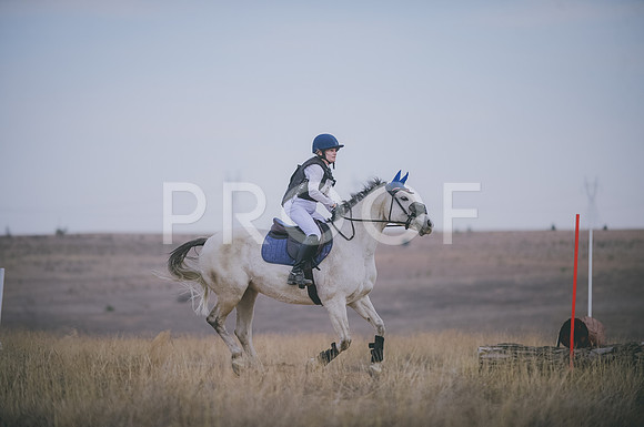 JJS_4437