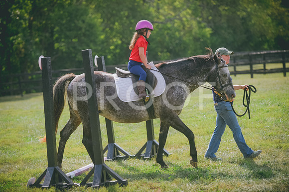 JJS_6448