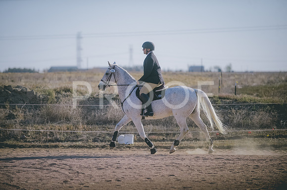 JJS_8428