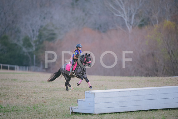 JJS_1611