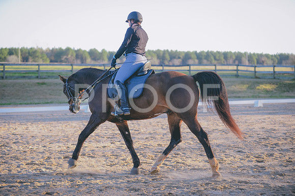 JJS_7245