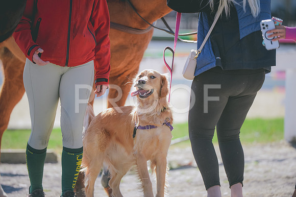 JJS_0212