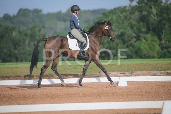 RWP_4393