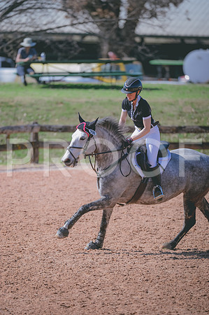 JJS_6146