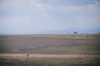 JJS_0557