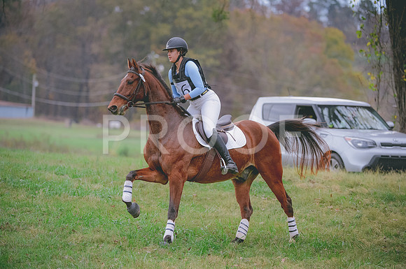 JJS_1078A