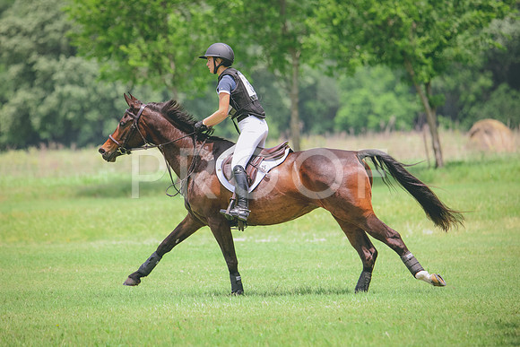 RWP_2639
