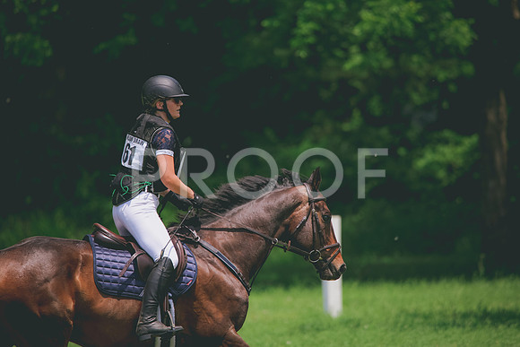 RWP_3883