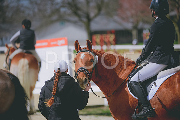 JJS_2294