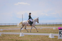 CLSL8441