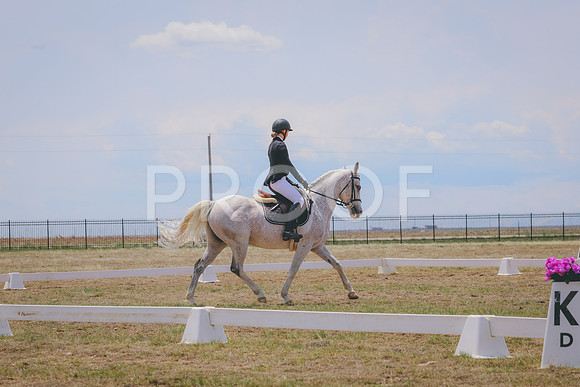 CLSL8441