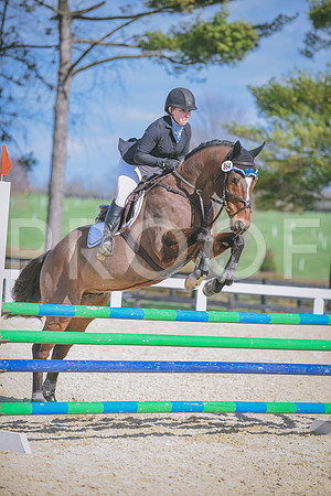 DSC_1115 copy